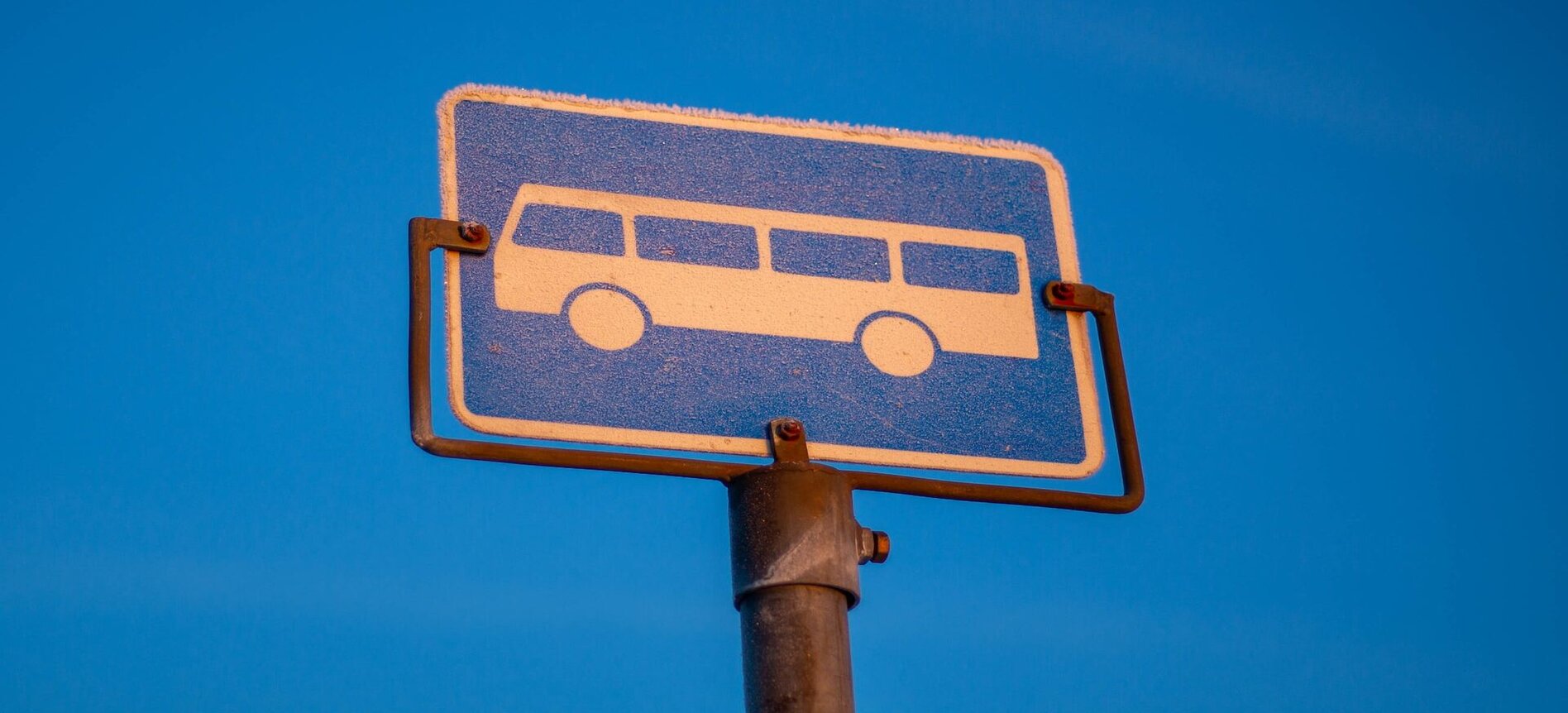 Bus Schedule